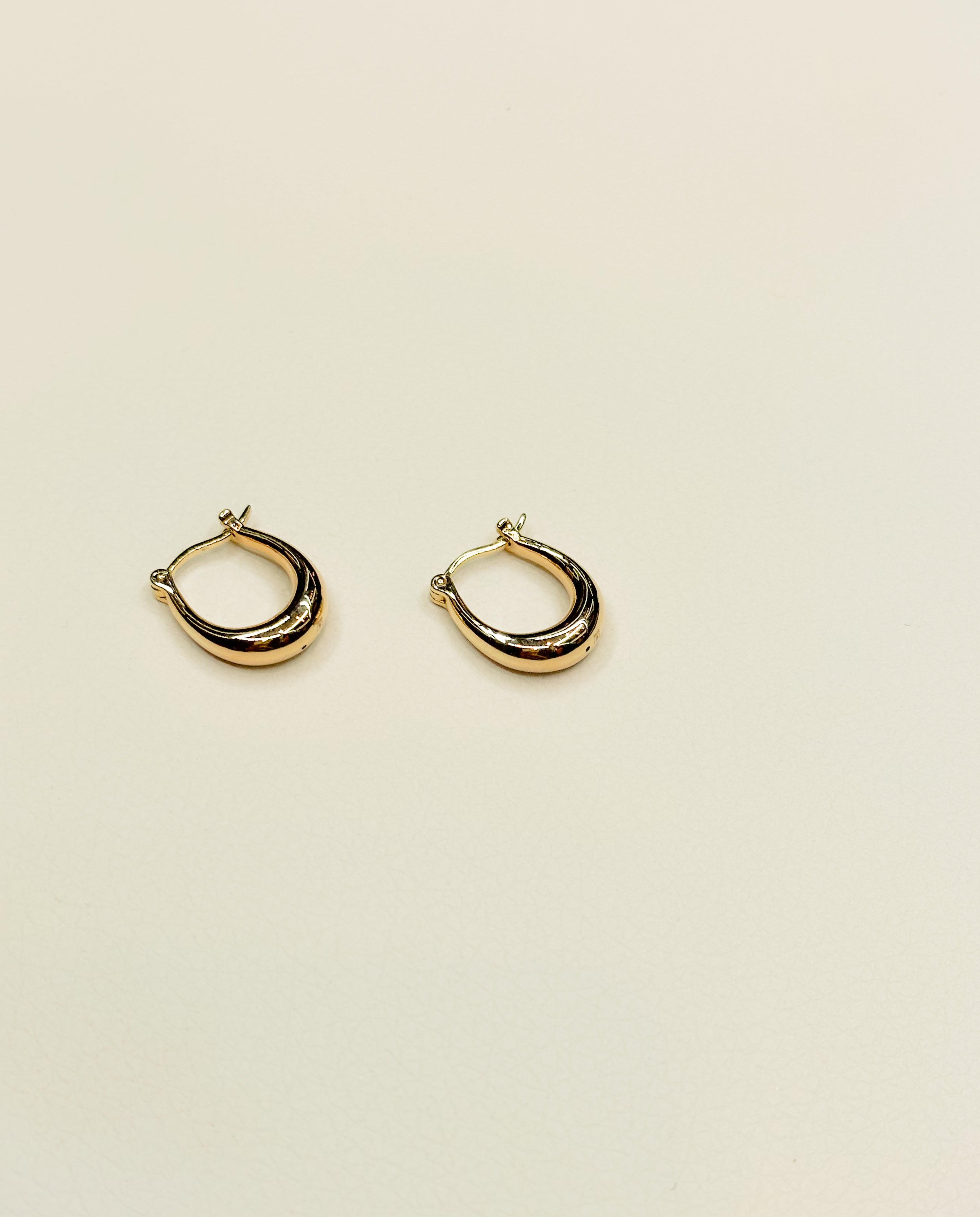 JWS Gold Hinged Hoops