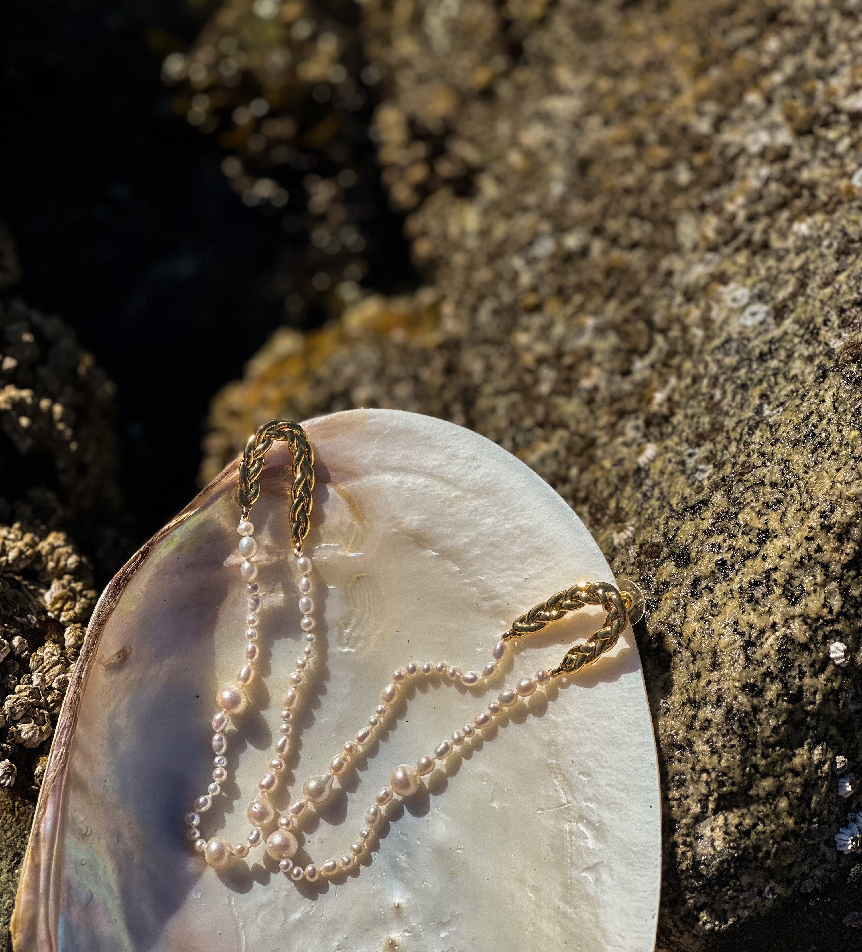 JWS Pearl Loop Earrings