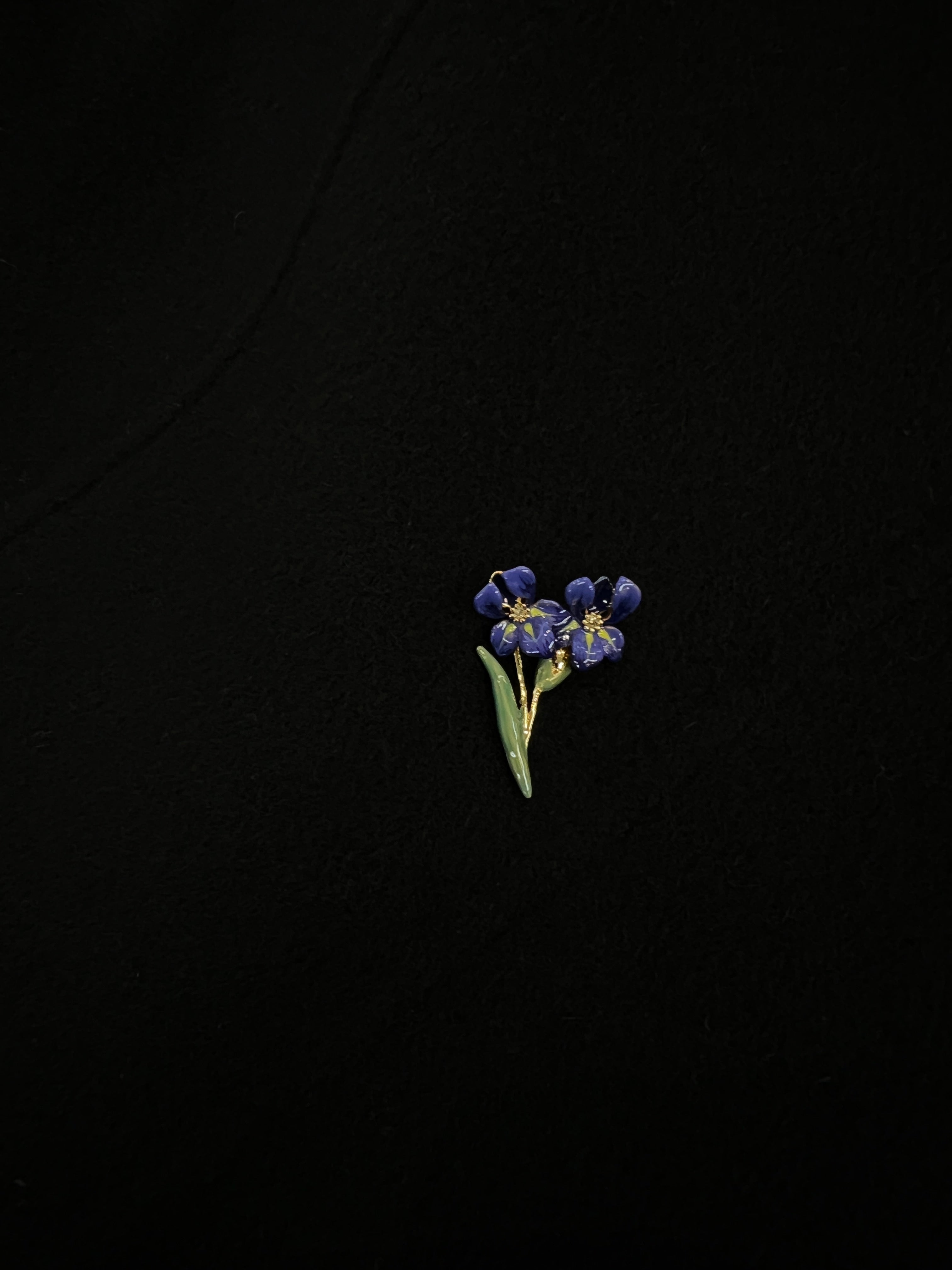 Irises Colored Paint Earrings