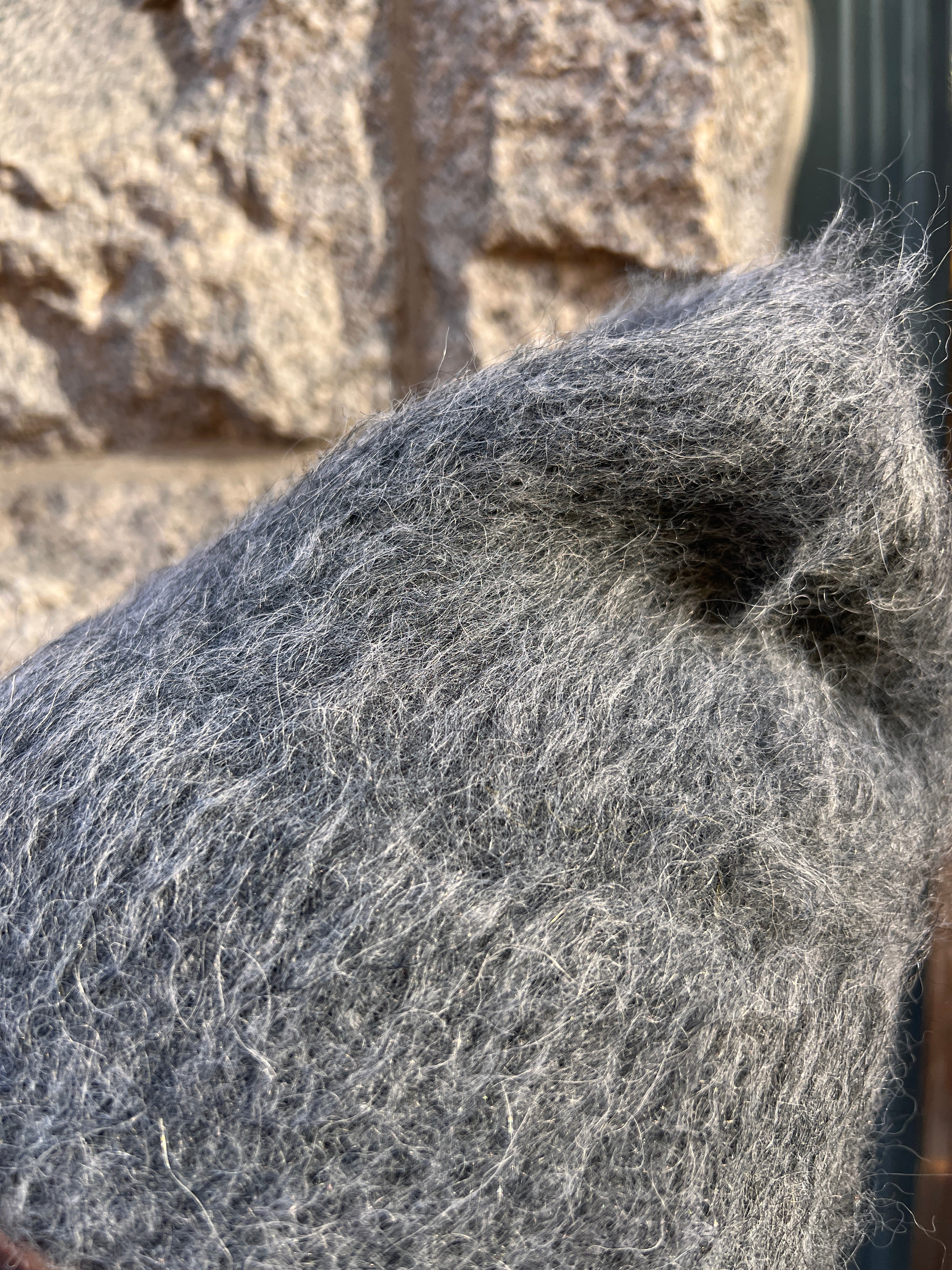 Kalee Shag knit Alpaca Beanie