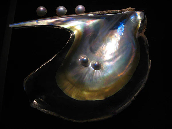 Sterling Silver Ocean Mabé Pearl Ring